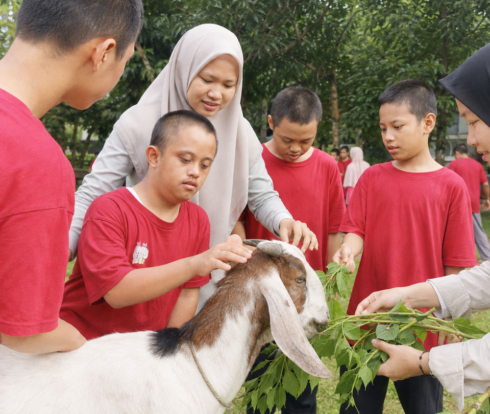 Identifikasi Kambing dan Hewan