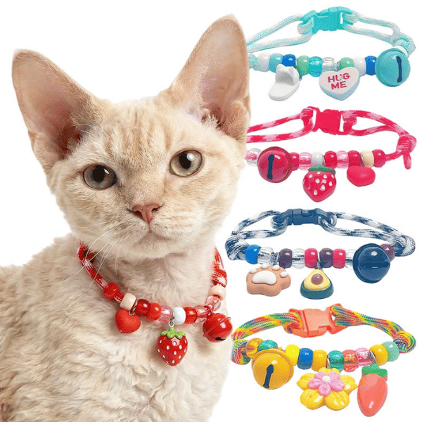 Kalung Kucing